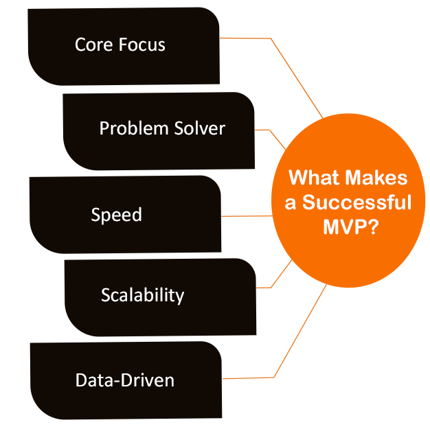 What Makes a Successful MVP?