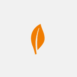 MongoDB