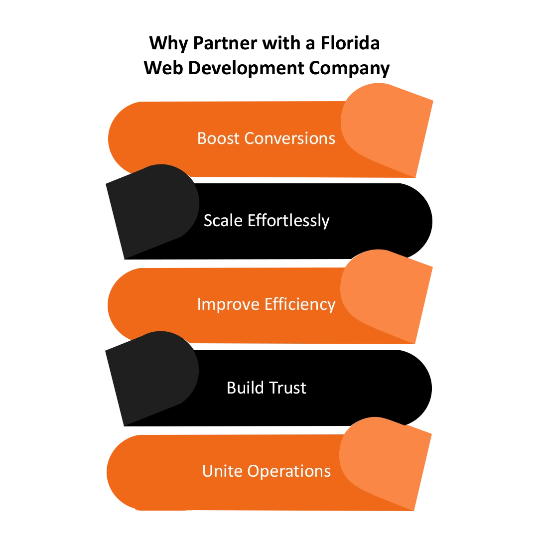 Why Partner with a Florida Web Development Company